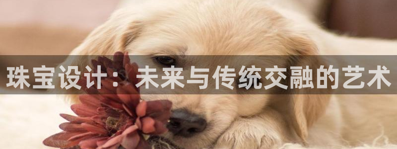 腾耀娱乐29999出众