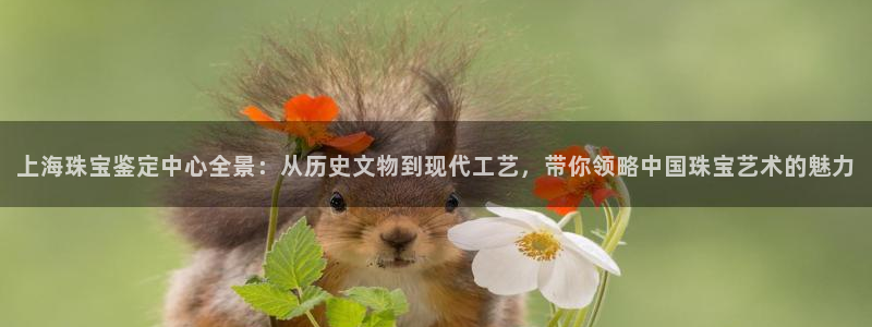 众腾娱乐总代理