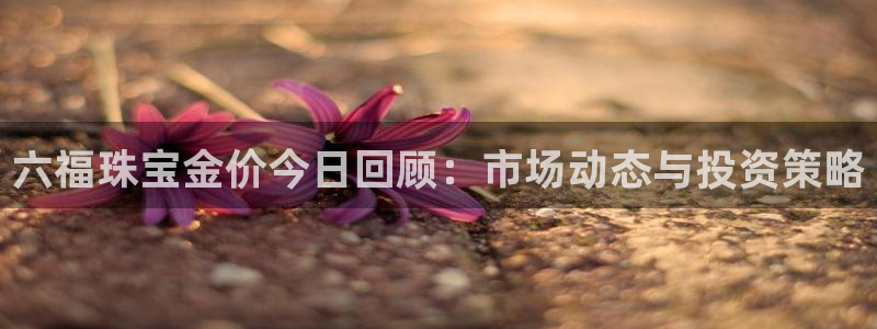众腾娱乐代理怎么样