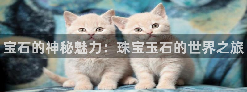 众腾娱乐公司简介