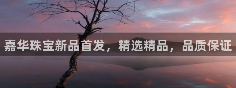 众腾娱乐app