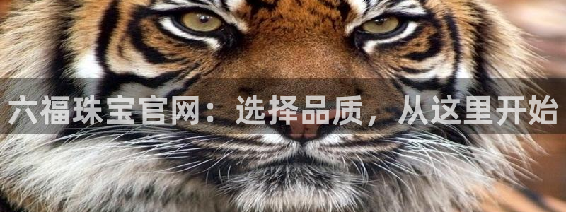 岳阳众腾ktv娱乐