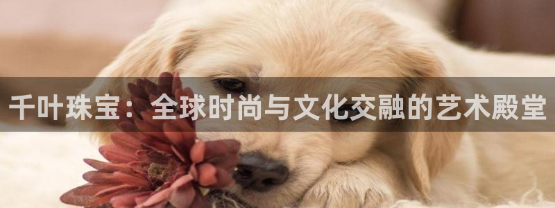 腾耀娱乐众推99840