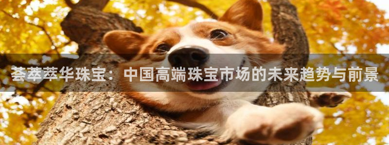 腾耀3娱乐众123