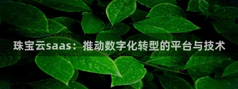 彝族自治州众腾娱乐