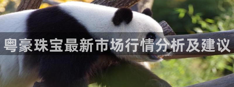 包头众腾娱乐