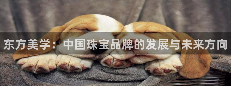 内蒙古众腾娱乐文化法人