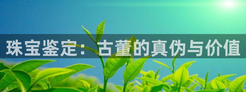 众腾娱乐平台：珠宝鉴定：古董的真伪与价值