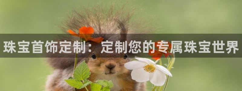 内蒙古众腾娱乐文化法人