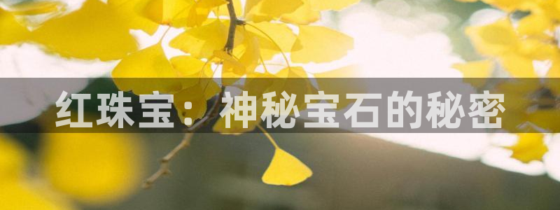 内蒙古众腾娱乐文化法人:红珠宝:神秘宝石的秘密