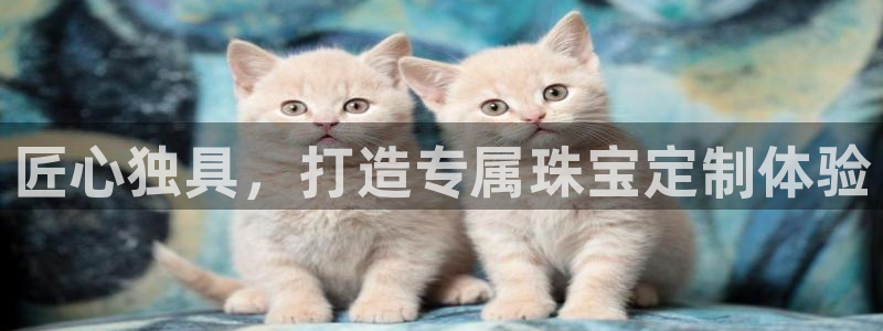 众腾娱乐集团有限公司