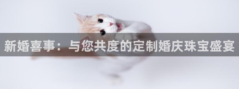 众腾娱乐毕 7O935