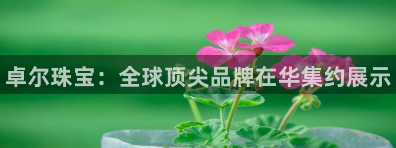 包头众腾娱乐密室逃脱：卓尔珠宝：全球顶尖品牌在华集约展示