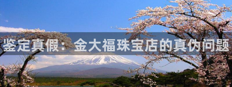 众腾娱乐招商：鉴定真假：金大福珠宝店的真伪问题