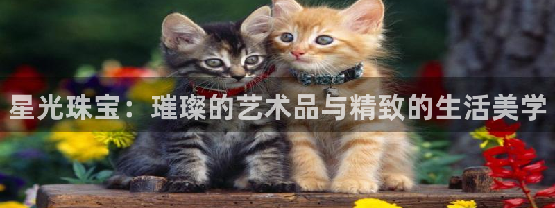 内蒙古众腾娱乐文化法人：星光珠宝：璀璨的艺术品与精致的生活美