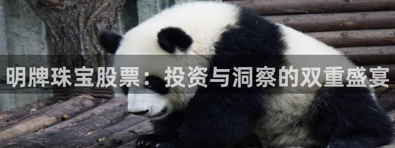 腾众娱乐：明牌珠宝股票：投资与洞察的双重盛宴