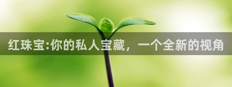 众腾娱乐平台下载：红珠宝:你的私人宝藏，一个全新的视角