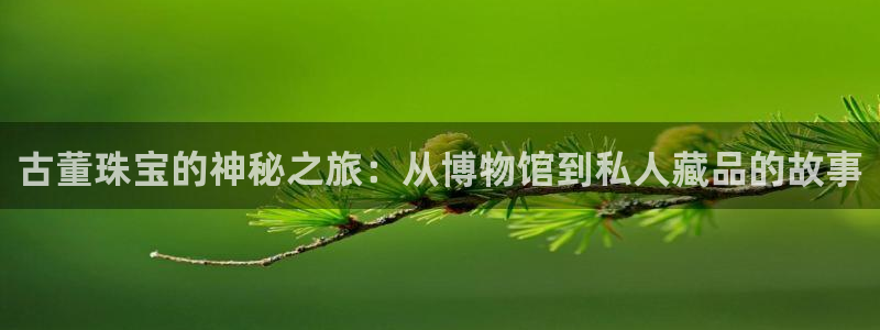 腾众娱乐的彩票靠谱吗：古董珠宝的神秘之旅：从博物馆到私人藏品