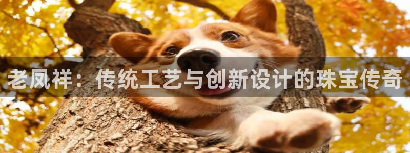 众腾娱乐注册：老凤祥：传统工艺与创新设计的珠宝传奇