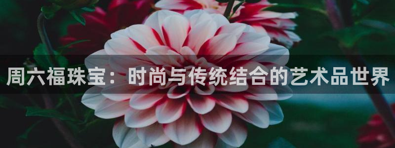 楚雄众腾娱乐