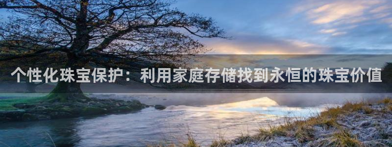腾众娱乐是什么：个性化珠宝保护：利用家庭存储找到永恒的珠宝价
