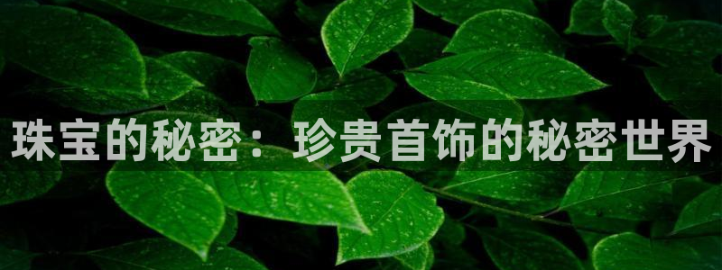众腾娱乐注册：珠宝的秘密：珍贵首饰的秘密世界