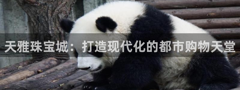 腾耀娱乐众推55312：天雅珠宝城：打造现代化的都市购物天堂
