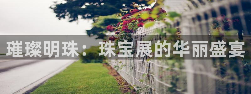 众腾娱乐集团有限公司：璀璨明珠：珠宝展的华丽盛宴