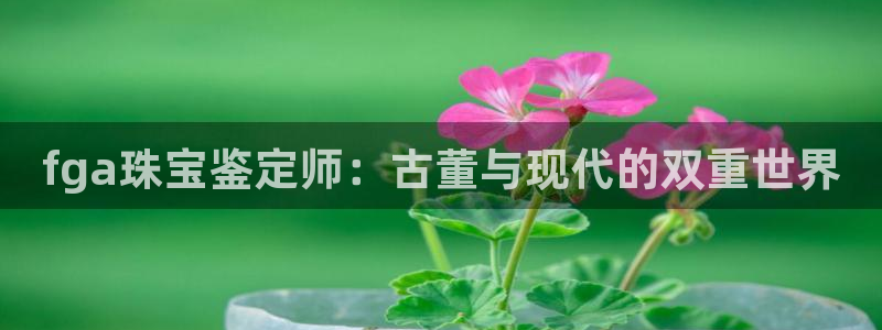 腾众竞技娱乐：fga珠宝鉴定师：古董与现代的双重世界